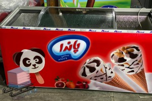 فریزر صندوقی فروشگاهی سردین کالا