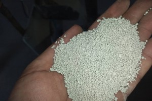 ارسال خاک گربه به سراسر ایران