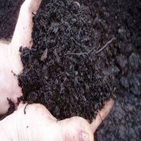 خاک برگ باکیفیت