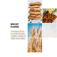 طعم بیسکوئیت