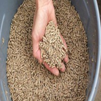 خرید و فروش کود پلیت مرغی