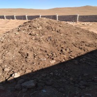 فروش کود مرغی خام