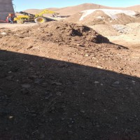 فروش کود گاوی خام