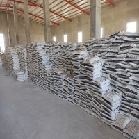 تولید کننده خاک گربه زامیاددر گیلان