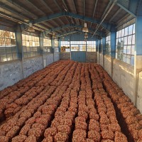 سوله بهداشتی شهرک صنعتی اسفراین