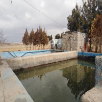 فروش گاوداری صنعتی شیری در شیراز