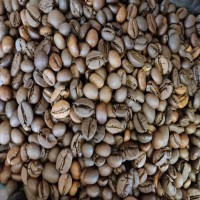فروش قهوه عربیکا عمده و خرده