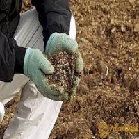 فروش کود کبوتر در سیرجان