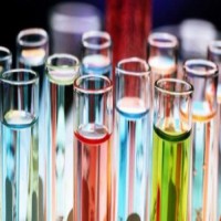 فروش تگزاپون صدفی در تهران