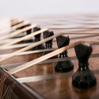 فروش سنتور حرفه ای تهران