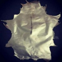 تولید پوست تار در کرج