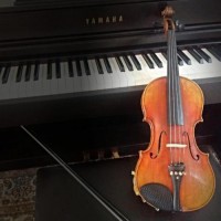 فروش ویولن  طرح استرادیواریوس تهران