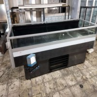 یخچال خوابیده فروشگاهی سردین کالا