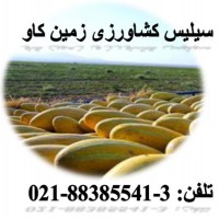 فروش سیلیس کشاورزی زمین کاو