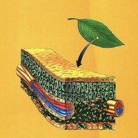 تدریس زیست کنکور در تهران