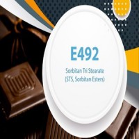 تولید اسپن 65