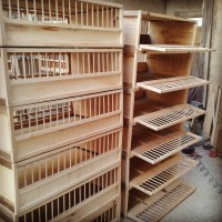 تولید قفس چوبی حمل کبوتر در زنجان