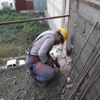 کاشت میلگرد در رشت