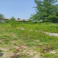 زمین ویلا سازی با سند تک برگ در رشت