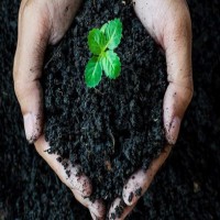 فروش اسید هیومیک مایع