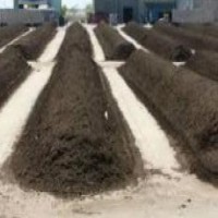 فروش کود مرغی در تهران