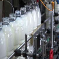 خریدار خط تولید لبنیات استوک