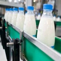 خریدار ماشین آلات لبنیات