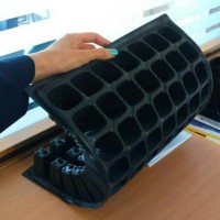 فروش سینی نشا