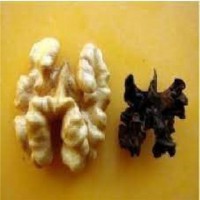 ارائه خدمات نسخه نویسی گیاهان