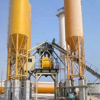 فروش بجینگ پلانت