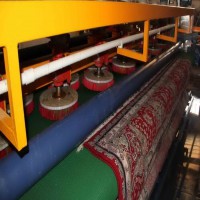 فروش دستگاه کارواش قالیشویی