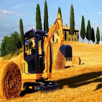 اجاره مینی بیل مکانیکی به همراه پیکور