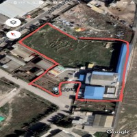 فروش 50 درصد کارخانه بستنی