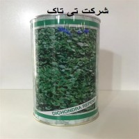 بذر چمن دایکوندرا