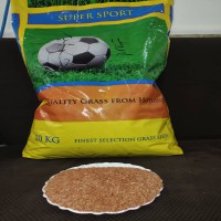 فروش عمده بذر چمن