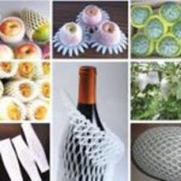 تولید فوم توری میوه