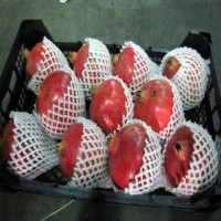 فوم توری انار ، فوم توری 09190107631