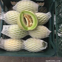 فوم توری خربزه