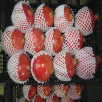 فوم توری انار | فوم توری ضربه گیر 09190107631