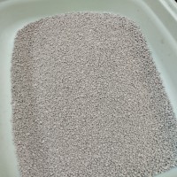 عمده فروشی خاک گربه زامیاد با چک یکماهه