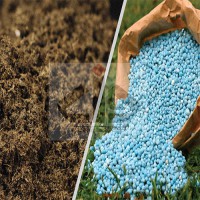 افزایش کمیت و کیفیت محصول تنها با زئولیت کشاورزی-خرید و مشاوره خرید زئولیت پتاسیمی-خرید مستقیم از معدن سمنان