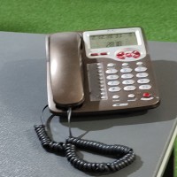 سرمایه گذاری جهت احداث شعبه فست فود