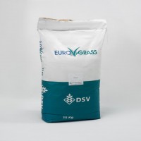 بذر چمن فستوکا یوروگراس - بذر چمن کم آب - 09195284072