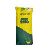 بذر چمن رزیستنس فیتو اسپانیا