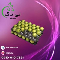 عرضه شانه میوه پلاستیکی ، شانه سیب 09199762163