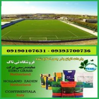 فروش انواع بذر چمن سردسیری و گرمسیری - 09190993466