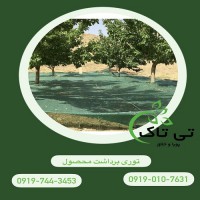 توری جمع آوری محصول ( توت ) - 09199762163