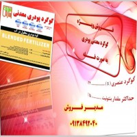 گوگرد معدنی پودری24%