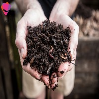فروش کمپوست گیاهی زامیاد