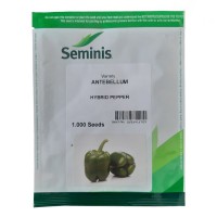 بذر فلفل دلمه آنتبلوم سمینیس
